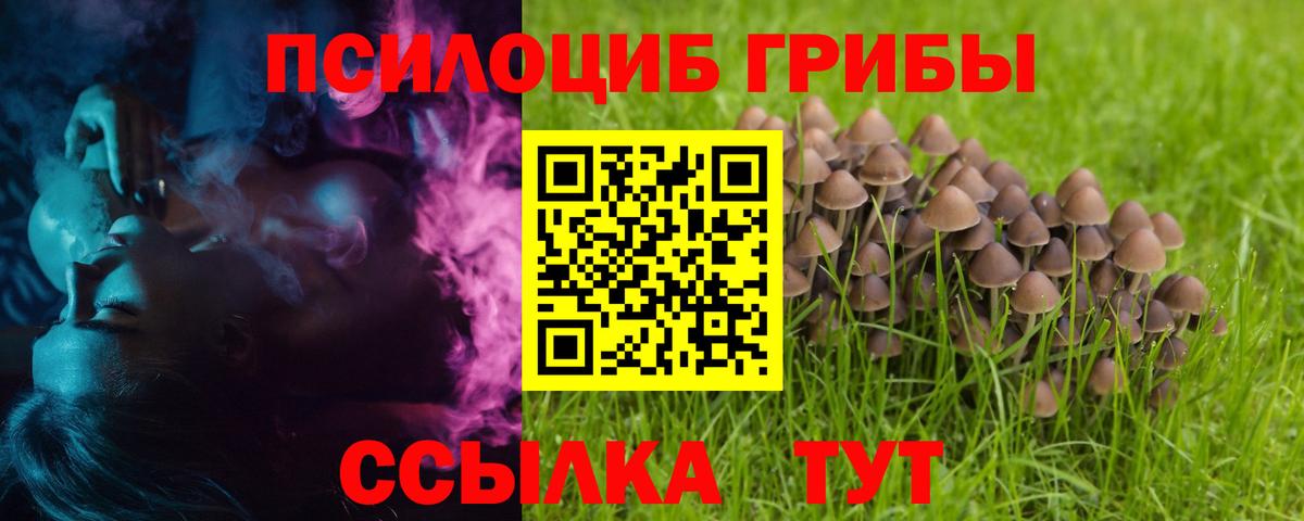 Дмитров  Галлюциногенные грибы Psilocybine cubensis  Псилоцибиновые грибы Psilocybe  Вход с VPN 